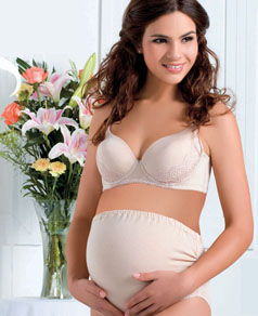 ��ɫ��������