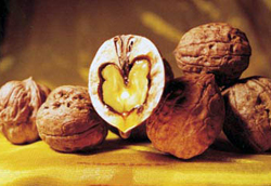 ˾ζ�����냺��������ô�ԣ�