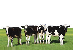 ���_ɽ��I(y��)�����|(zh��)���ߵ�47��