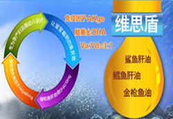 �����ѣ�ѭ��u�M(j��n)�����郺�oʳ