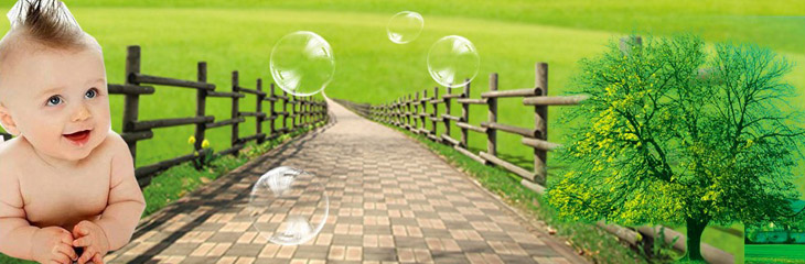 ����ʳƷ�����B�����޹�˾����