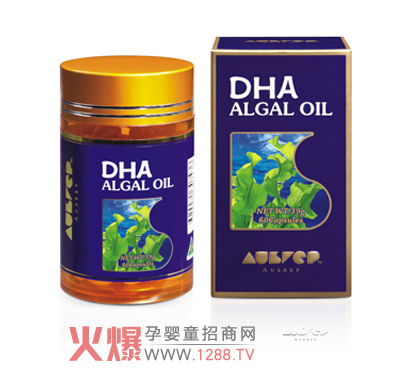 �����I(y��ng)�B(y��ng)��(zhu��n)��?gu��)����J(r��n)�R(sh��)Ӱ푴��X�l(f��)����DHA