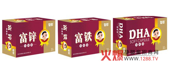 ���W����Ƽ����޹�˾������2012�걱������չ