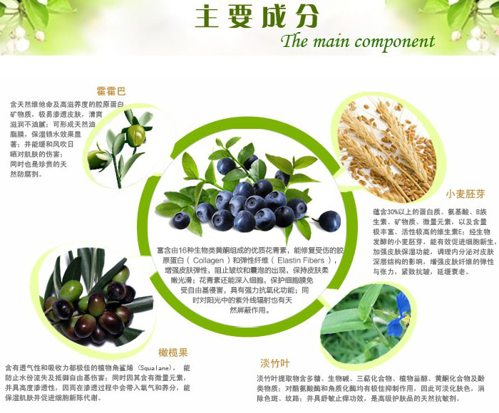 藍(lán)莓妊妊娠紋按摩霜 120g