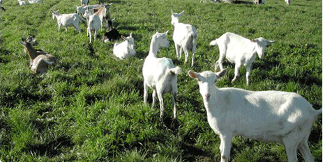 ����������Դ����������������������