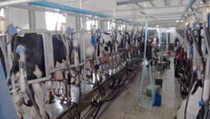 �F(xi��n)�����ĔD��܇(ch��)�g