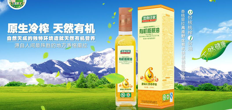 ���ӡ�����������