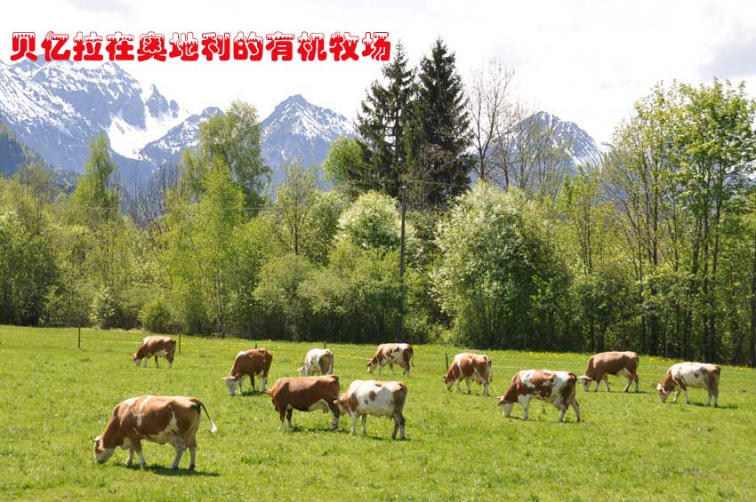 ؐ�|���ڊW�������ЙC����