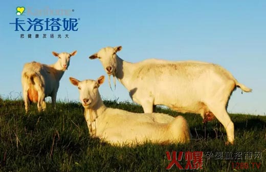 �����������̷� �����������IƷ��