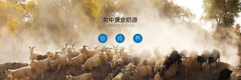 ׿����������