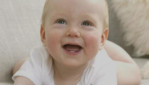 ɽ�|С�Ř�(sh��)���׃���Ʒ���޹�˾2