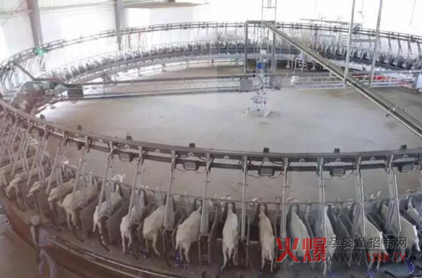 �Pɽ��I(y��)���B(t��i)���� ���޴�Ҏ(gu��)ģ�����a(ch��n)�I(y��)朻��A