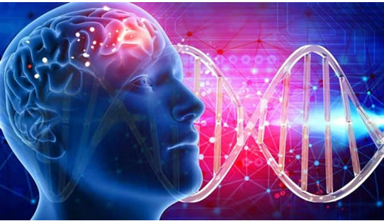 鑫琦.jpg 鑫琦.jpg