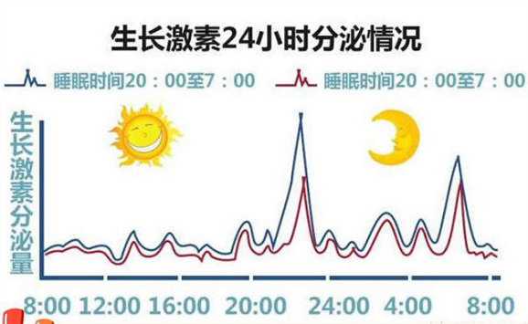 多維營養(yǎng)包.jpg 多維營養(yǎng)包.jpg