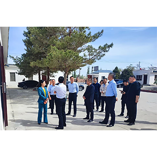 2.2.500.png 2.2.500.png