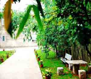 ���������o������չʾ