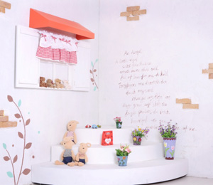 ���������ƺ�Ո�չʾ