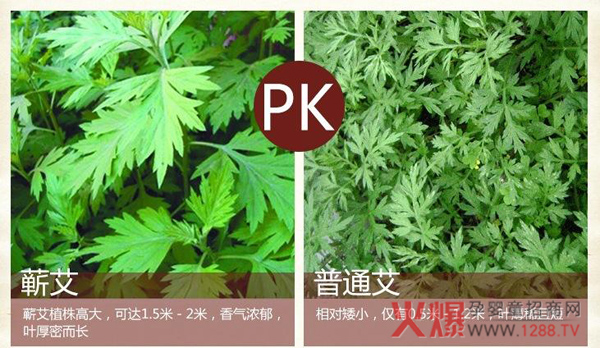 ���갬�����I����ԡ�� �������ĺÎ���