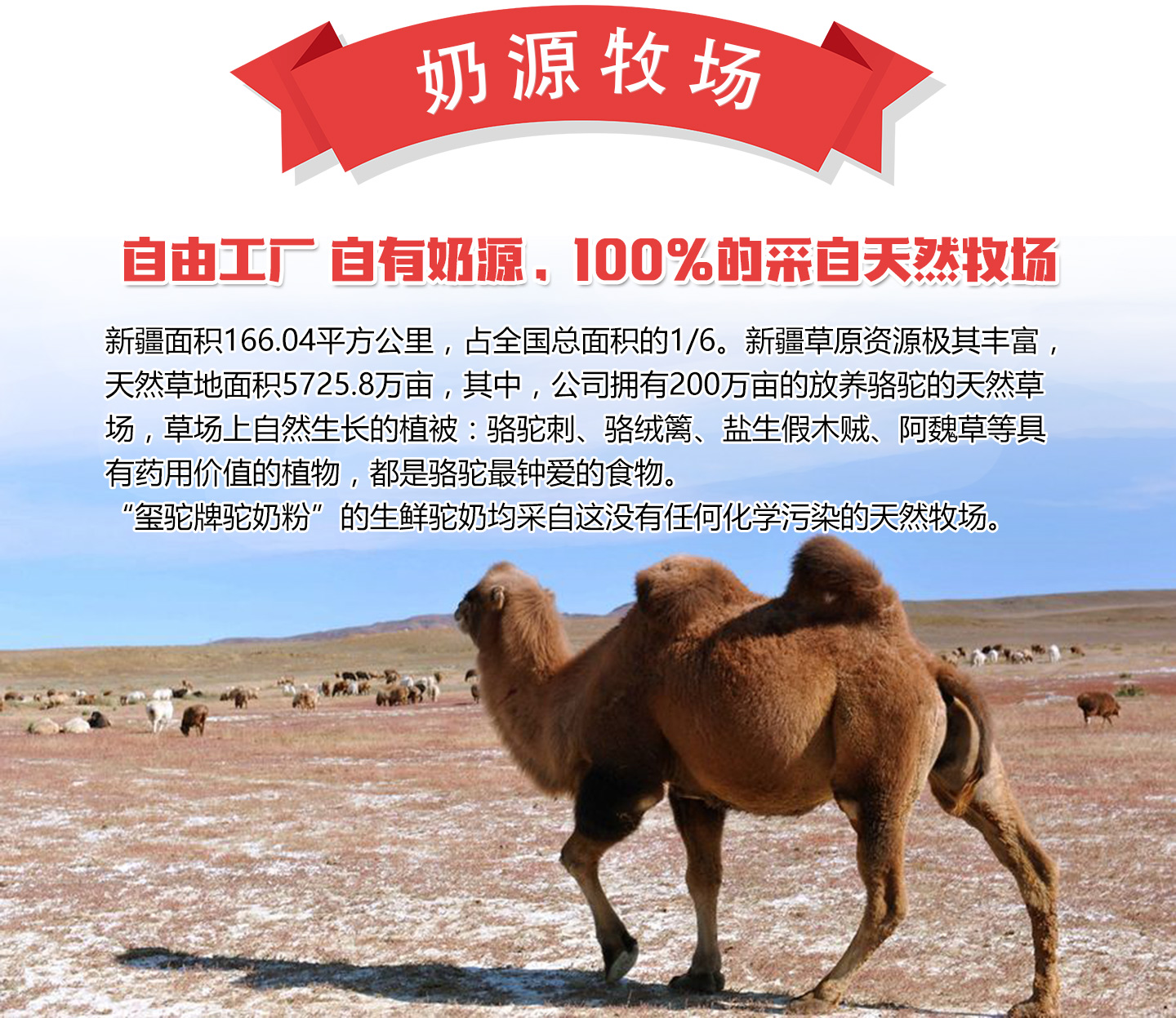  ���R(sh��)�t�������Դ����(ch��ng)