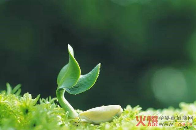 �L(zh��ng)���c�����ߡ��p���� �@��(g��)����ؐ���߽o�҂��µ��x��