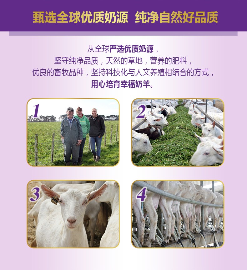  �����׃��䷽���̷ۣ�12-36���g��3�Σ�_03