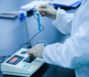  ����z�y(c��)