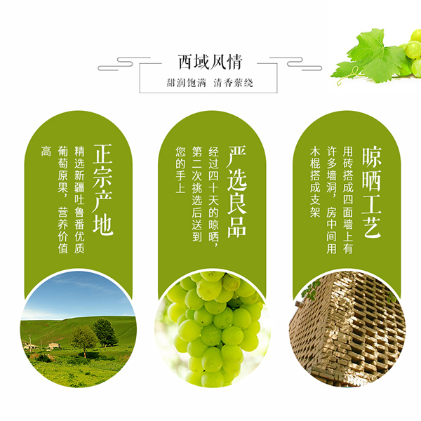 巴瑪熊葡萄干 (4).jpg