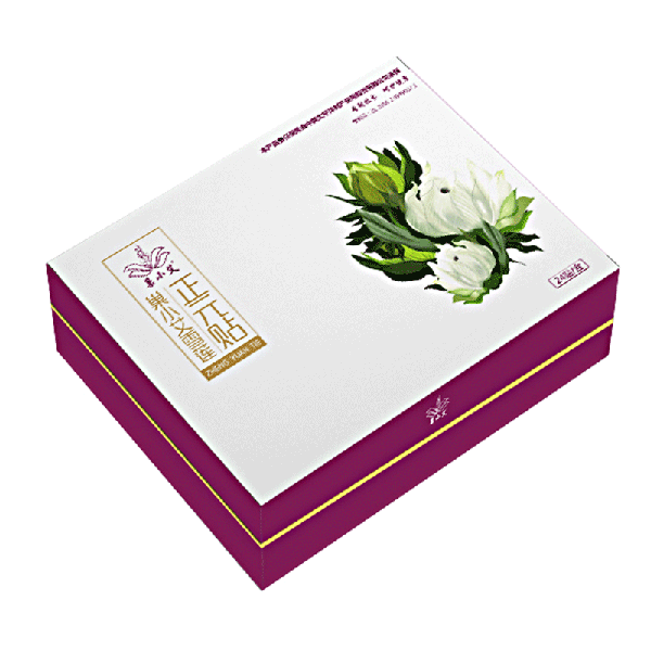 巢小艾雪蓮正元貼 24貼裝 (1)