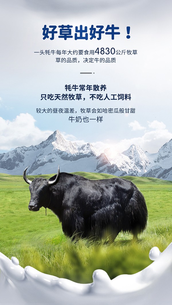 善佳優(yōu)品8849牦牛益生菌配方奶粉詳情_(kāi)02.jpg