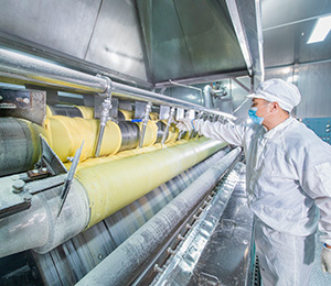  ��������S29