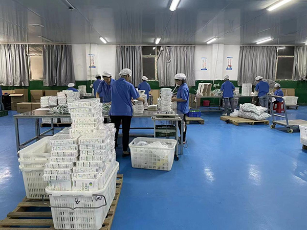 無(wú)菌無(wú)塵車間.jpg 無(wú)菌無(wú)塵車間.jpg