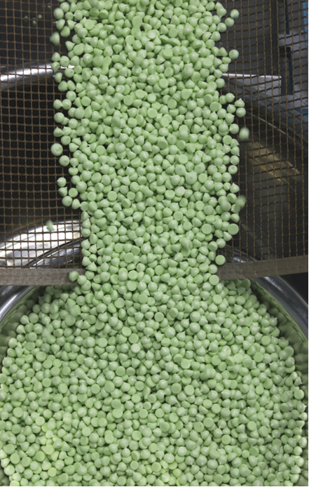 �¸ɠ�ԪʳƷ�ܶ����ӹ����\(ch��ng)��ȫ��(gu��)�^(q��)��������