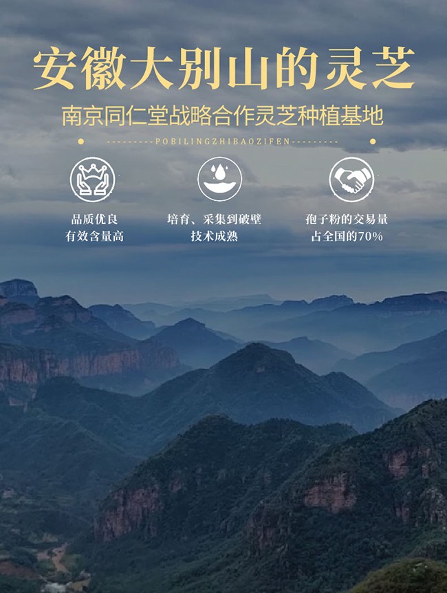 南京同仁堂樂家遐齡牌破壁靈芝孢子粉詳情 (4).jpg