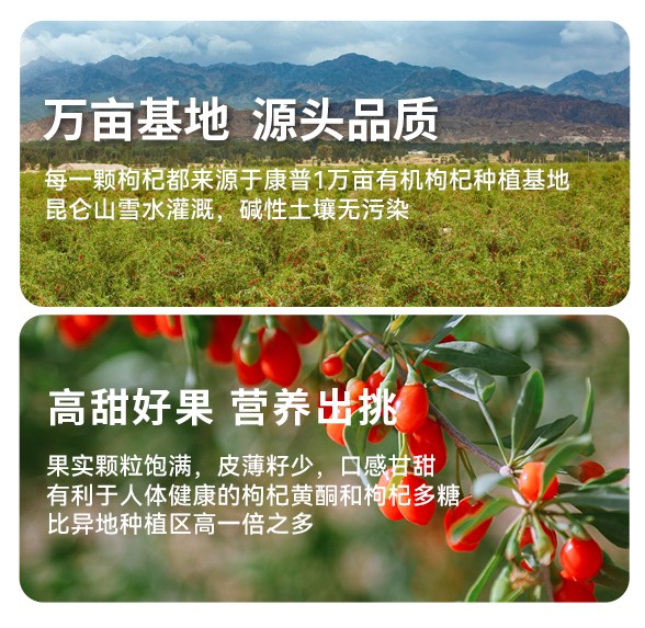 遙遠(yuǎn)地方枸杞原漿詳情 (4).jpg