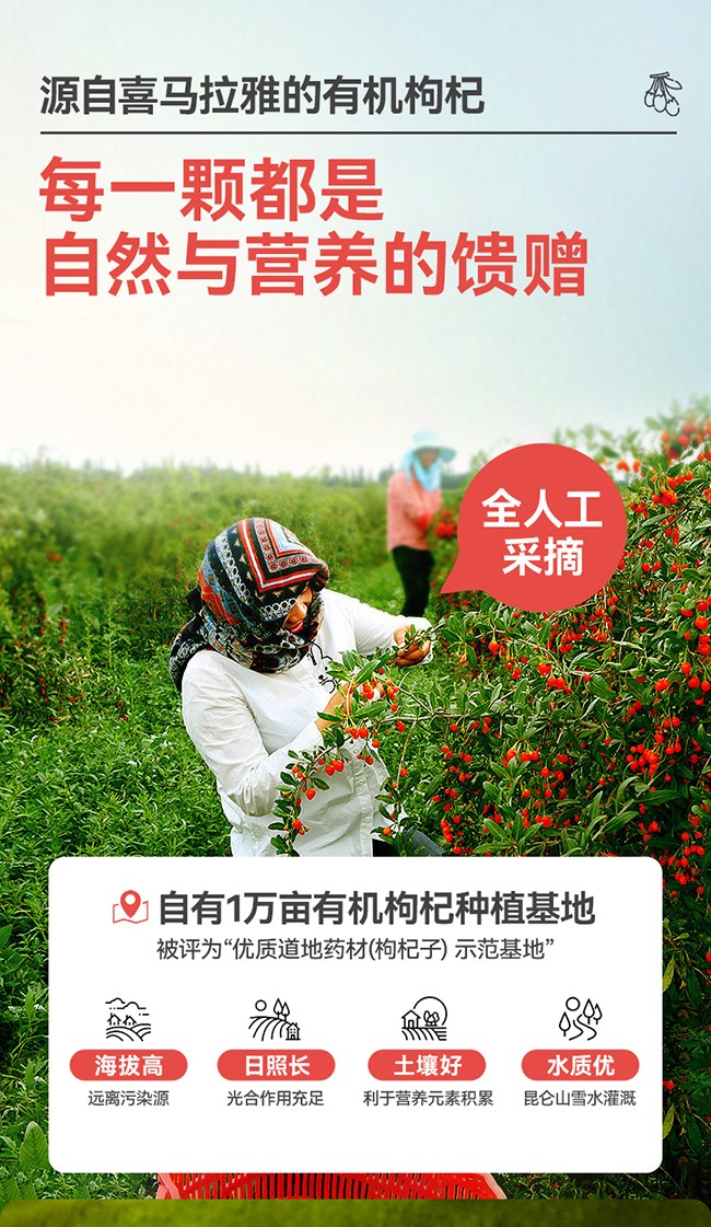 呀啦嗦有機枸杞原漿詳情 (7).jpg