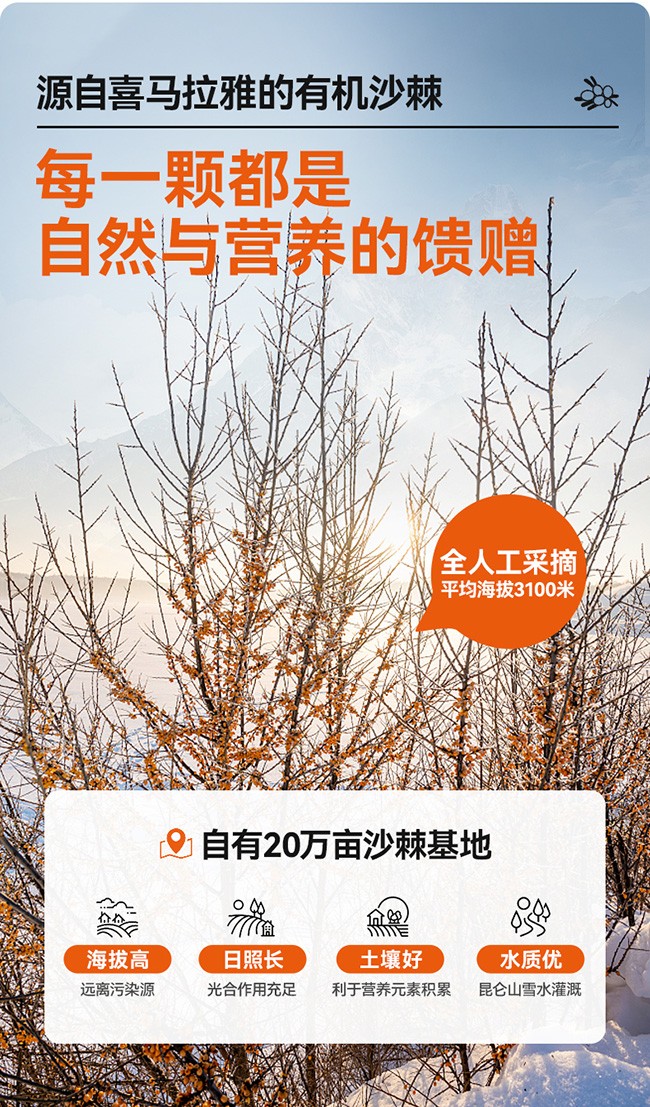 呀啦嗦有機沙棘原漿詳情 (8).jpg