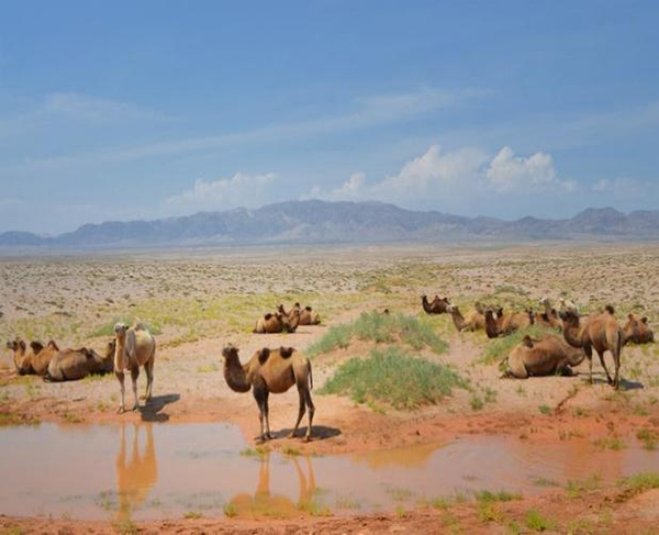 ���ƽz�ĸ�댣�������\(ch��ng)�д����̣���ģʽ���´������o(h��)ȫ�ҽ������\(ch��ng)�����ļ�����