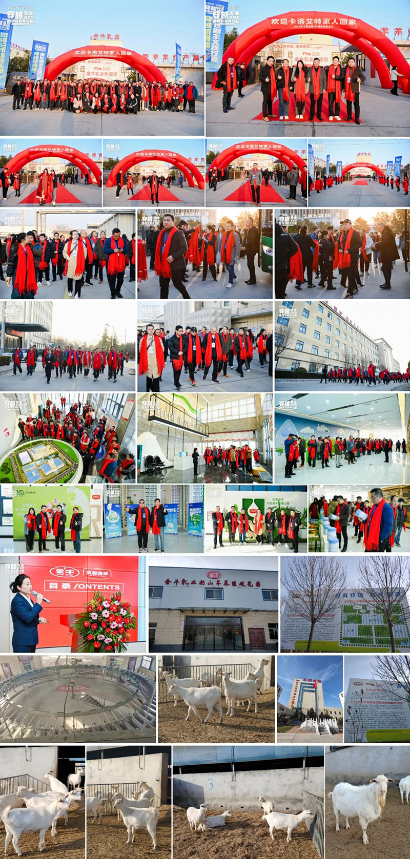 圖片 (1).jpg 圖片 (1).jpg