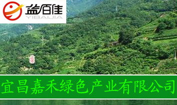 �˲��κ̾Gɫ�a(ch��n)�I(y��)���޹�˾