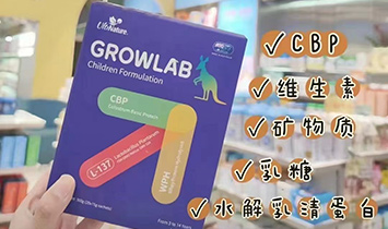 GROELAB����Ȼ