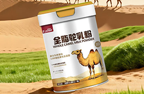 Ӣؐ��ȫ֬����