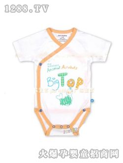 �V�Ű�ɫ���������b