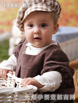 ���Ȍ������b