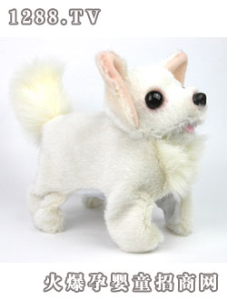 ��֮������֥����