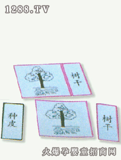 ����ֲ�￨Ƭ