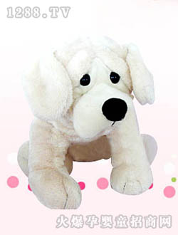 �_(d��)ʿ��ë�q��������ɿ�����