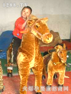 ���������T���R