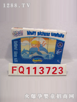 ��������ƴ�DFQ113723