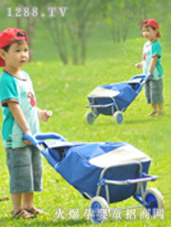 ɭ�ŵٳ���̎����