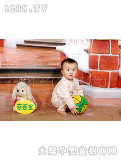 �n�n�����ރ�(n��i)��